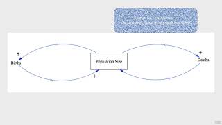 Famous 6: Causal Loop Diagrams 101 | Causal Loop Diagrams Net Worth