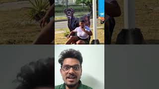 Building Wooden Log Cabin🌲in Forest🎄Survival House  Step by Step" GSM2.0 2000 🎄🌲