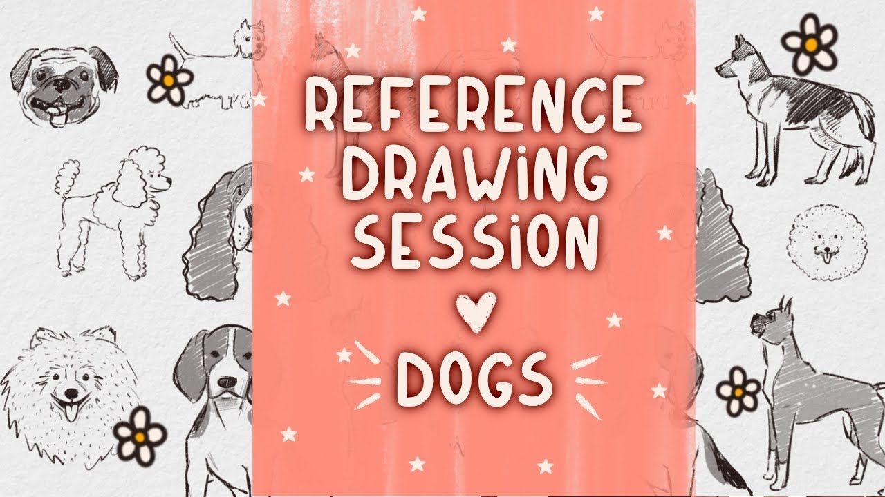 🐶 HOW TO DRAW DOGS? // Reference drawing session // Draw - Sketch with ...