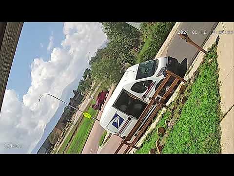 lazy postman