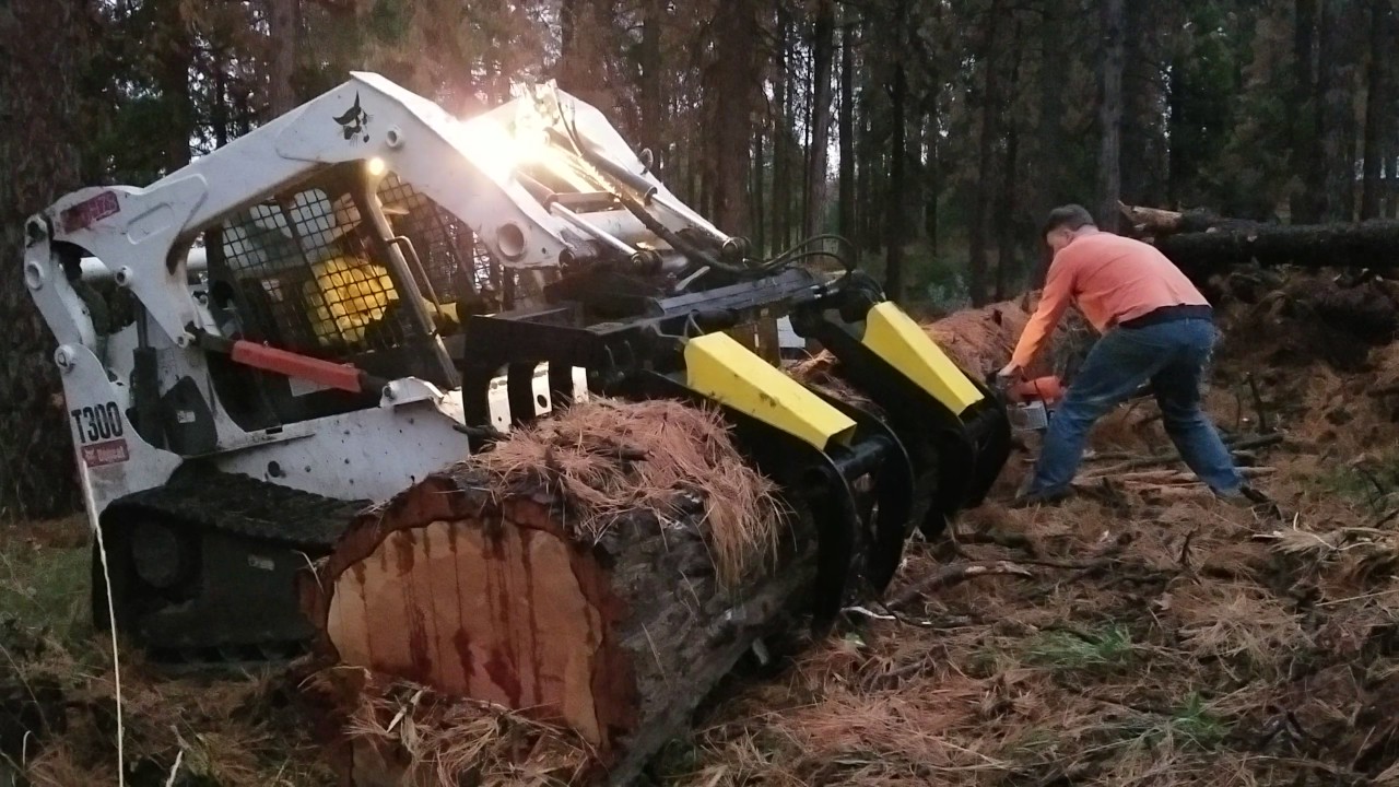 Cutting the Cedar Log - YouTube