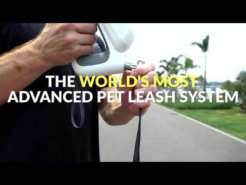 GoGoLeash: All-in-One Dog Leash and Collar System
