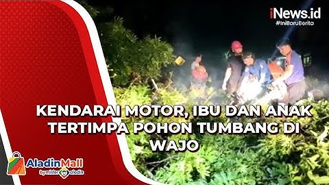 Kendarai Motor, Ibu dan Anak Tertimpa Pohon Tumbang di Wajo