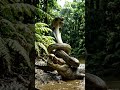444562311 #music #snake m #wildlife #animals #whowillbemylifepartnerta #viral #housemusic #crocodile