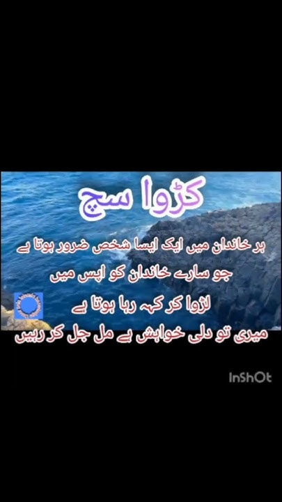 Karwa Sach Quotes Urdu Quotes short Video viral Vido YouTube karwa-sach-quotes-urdu-quotes-short-video-viral-vido-youtube