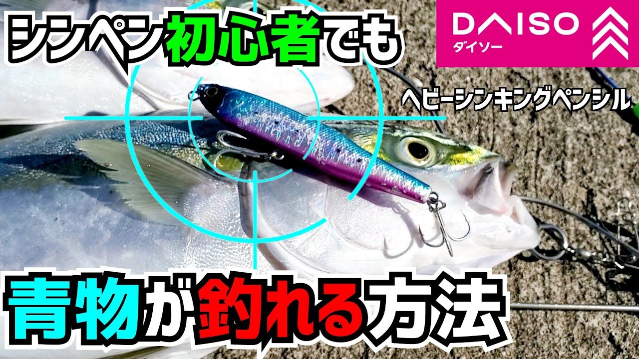 ダイソーのヘビーシンキングペンシルで青物が釣れた方法をご紹介 #シンペン #初心者 #使い方