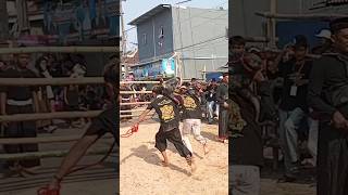 Bantenge ngamuk loncat pagar lur #bantengan #shortsviral #semuaorang #jaranan #viralvideos #funny