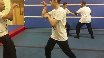 How To Block Punches Using The Praying Mantis Hooks Series 2 Sifu Bryan