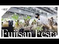 【FUJISAN FESTA】富士山の麓で開かれる珍奇植物市場へ|アガベ/塊根植物/サボテン