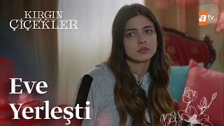 Kızların evine yerleşen Defne! - Kırgın Çiçekler 109. Bölüm