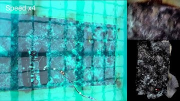 AUV video mosaicing