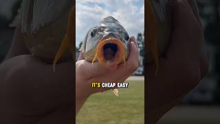 THIS $2 Bait Out-Fished My ENTIRE Tackle Box! 🎣😳 #shorts #fishing