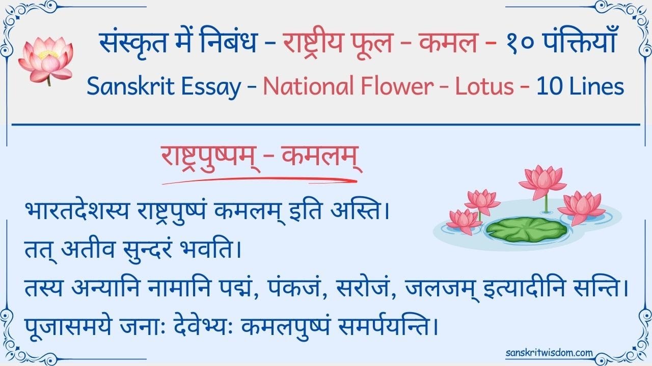 sanskrit-essay-on-national-flower-lotus-10-lines-on-national-flower