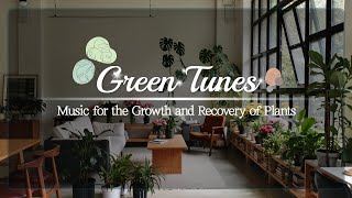 [For plants]🌿Soft piano melodies for relaxing gardening moments and peaceful plant growth screenshot 4