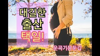 대길한 출산택일