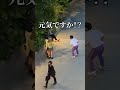 ランダムなアントニオ猪木
