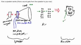 Waves - How a speaker works - (IB Physics, GCSE, A level, AP)