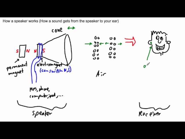 Waves - How a speaker works - (IB Physics, GCSE, A level, AP)