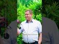 Наложил на себя руки директор лепельского хозяйства "Заозерье" Сергей Халимоненко