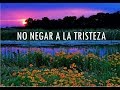 No negar a la tristeza