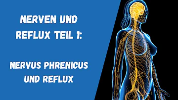 Wie wird der Nervus phrenicus gereizt?