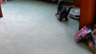 DSCF1049.AVI