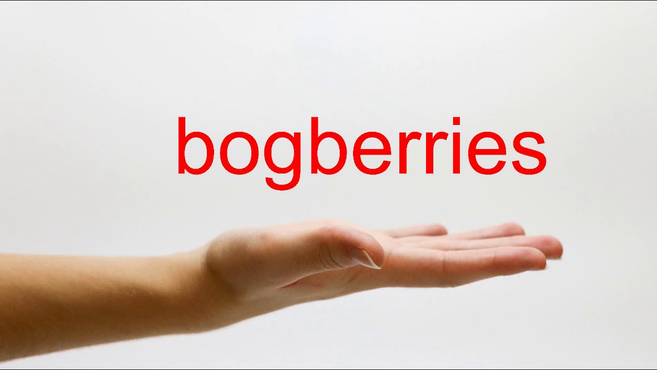 How to Pronounce bogberries - American English