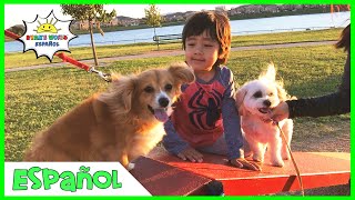 Los niños juegan en el parque infantil y en el parque para perros con Ryan's World