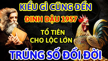 Cảnh Báo Quan Trọng! Kiểu Gì Điều Này Cũng Xảy Ra: Đinh Dậu 1957 Từ Nay Đến Tết Âm Lịch 2026