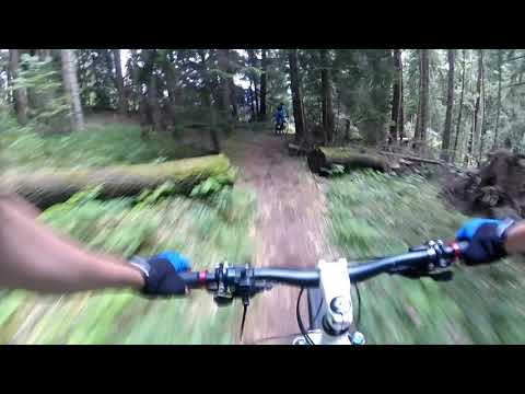 ბორჯომ-ხარაგაულის საოცარი გზა