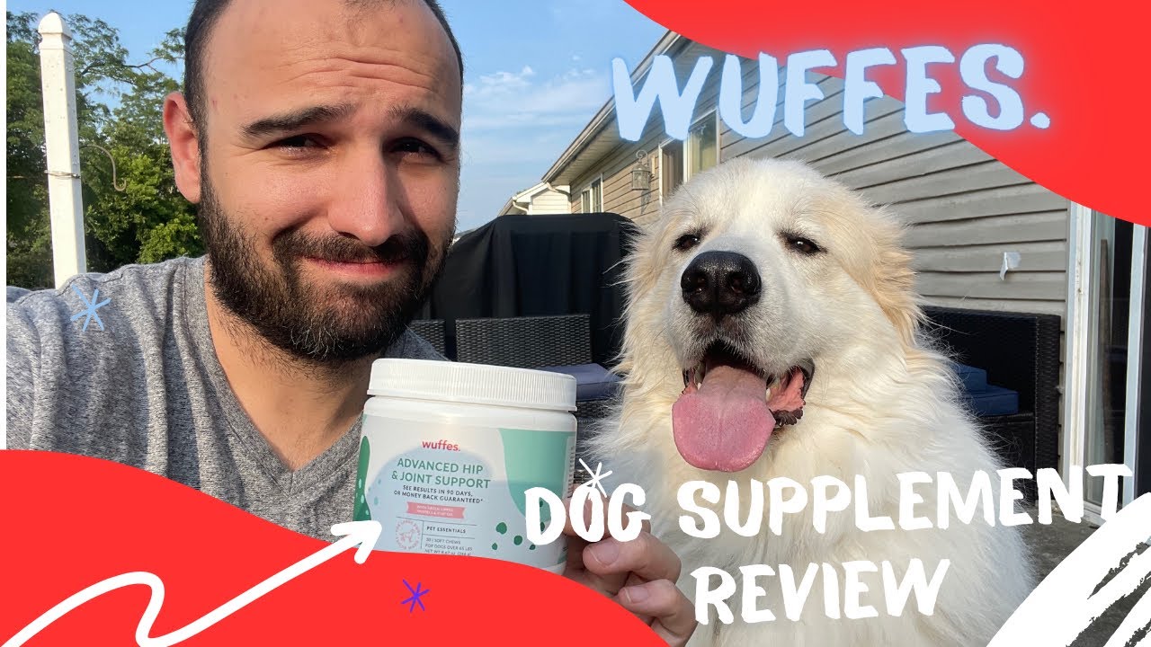 Wuffes Dog Supplement Review Joint Chews YouTube