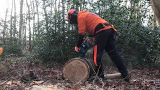 Makita DUC353Z cutting 40cm Oak log