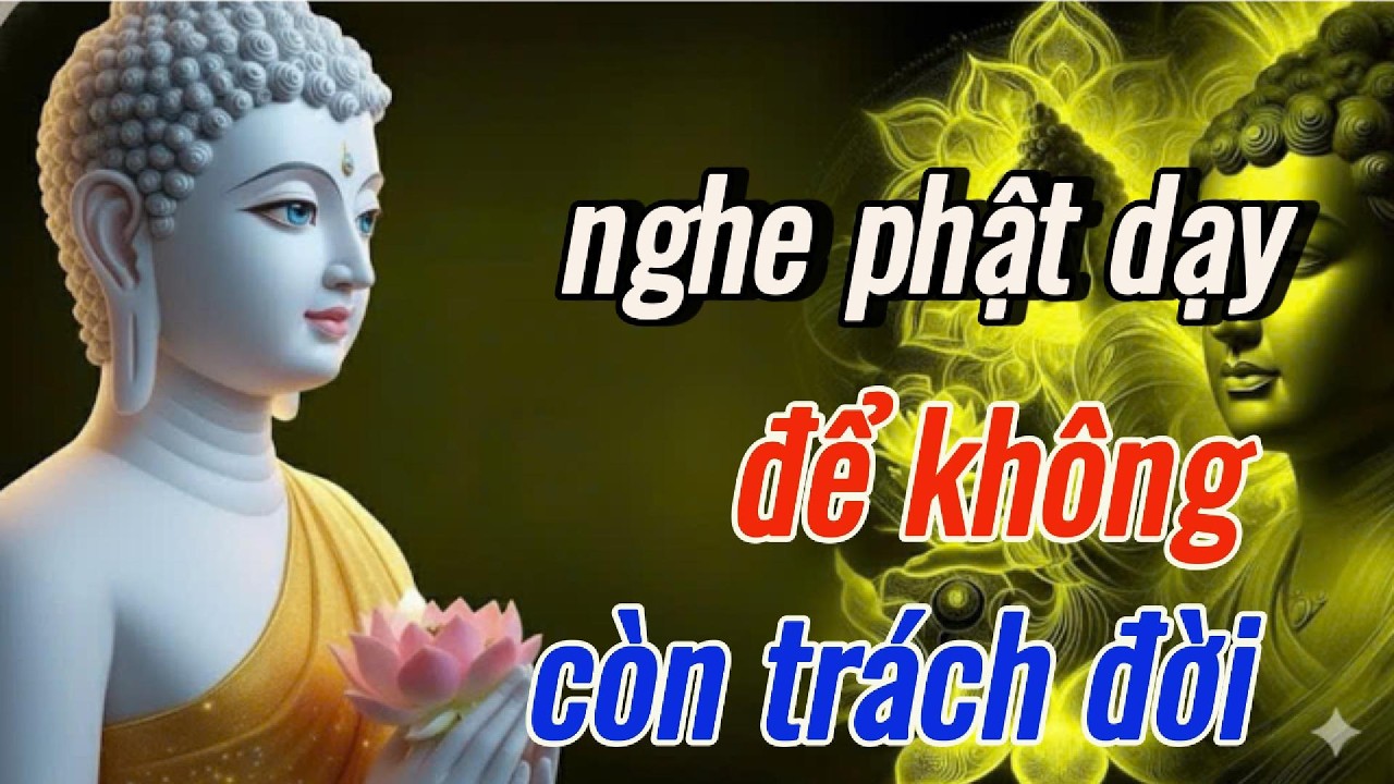 Phật Dạy: Hiểu Điều Này Bạn Sẽ Không Còn Trách Đời - Nghe Một Lần Để Hiểu Và Buông Bỏ Oán Trách