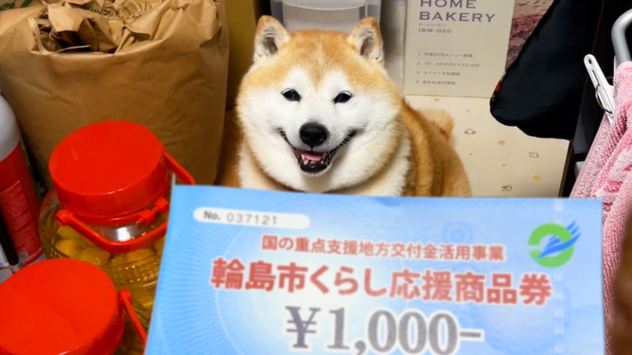 市からもらった「くらし応援商品券」をフル活用し、大豪遊する柴犬