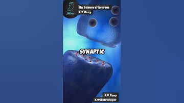 How Neurons Transmit Signals in the Brain | Quick Science!  #shorts #shortsfeed