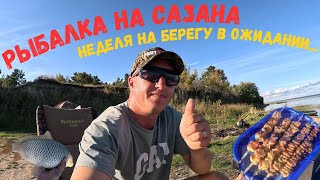 видео: ОНИ КЛЕВАЛИ И СРАЗУ ТАЩИЛИ В КОРЯЖНИК. ЖИВЁМ НЕДЕЛЮ НА БЕРЕГУ И ЛОВИМ САЗАНА. РЫБАЛКА В ЗАВОЗ НА ОВХ картинка: ОНИ КЛЕВАЛИ И СРАЗУ ТАЩИЛИ В КОРЯЖНИК. ЖИВЁМ НЕДЕЛЮ НА БЕРЕГУ И ЛОВИМ САЗАНА. РЫБАЛКА В ЗАВОЗ НА ОВХ