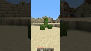 Sus Minecraft Cactus