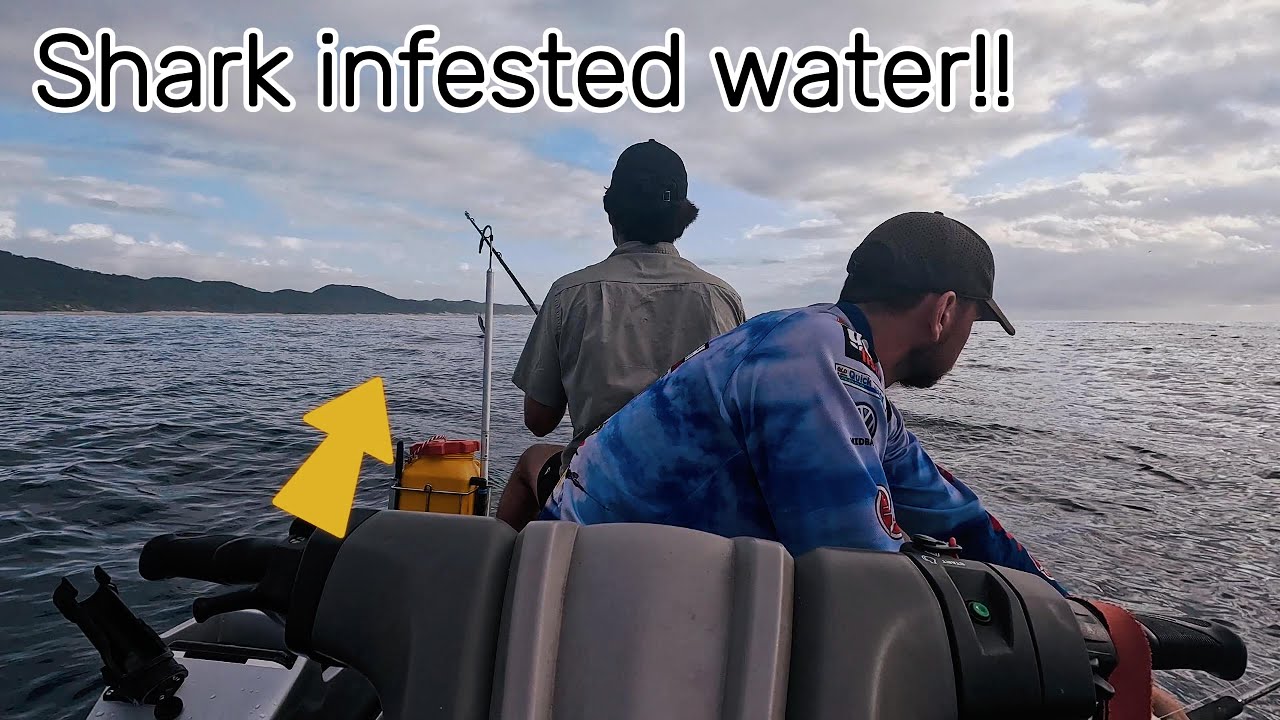 Would you do this?? Jumping in?? / Chasing Billfish at Cape Vidal