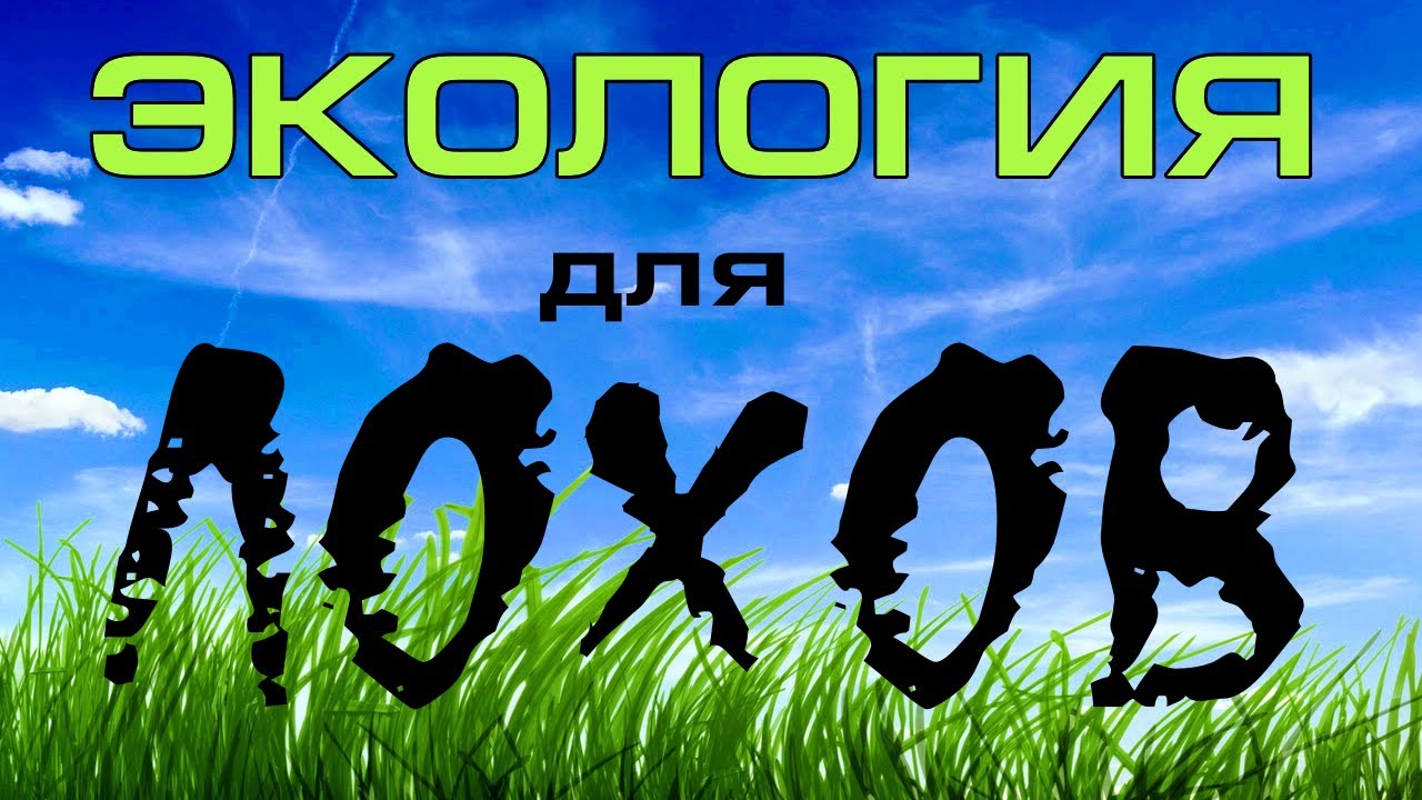 Бмв для лохов