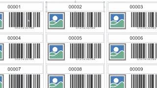 Labeljoy 6 - How to use incremental counters