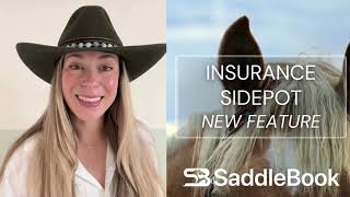 Pro Tip: Insurance Sidepot (New Feature!) screenshot 1