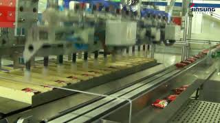 Pick & Place Loading System (Case of Pie 2)