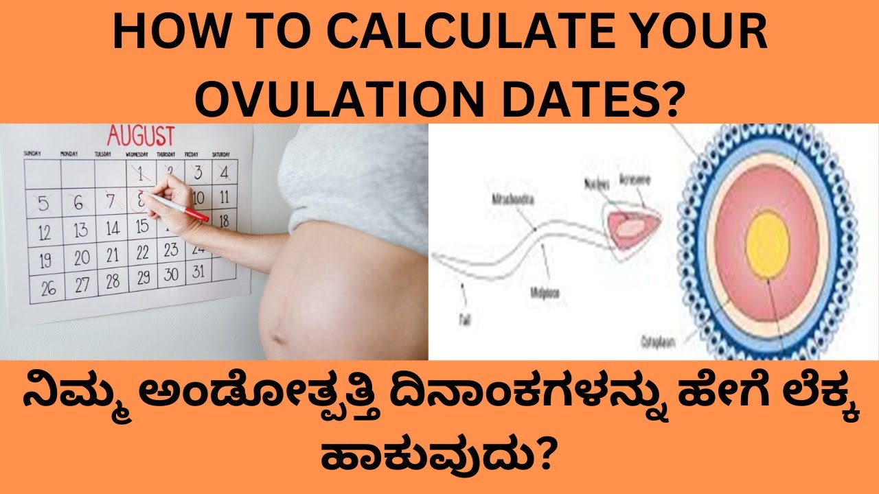 HOW TO CALCULATE YOUR OVULATION DATES IN KANNADA.OVULATION CALCULATOR,SAFE PERIOD,UNSAFE PERIOD.