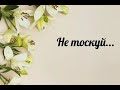 Не тоскуй, когда мглою окутано небо - христианская песня.