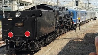 【C61-20 OM入場回送(全検)】クモヤE493系02編成+オヤ12-1(SL伴走車)+国鉄C12形蒸気機関車20号機が警笛を鳴らして大宮駅13番線を発車するシーン(配9941M)2025/8/6