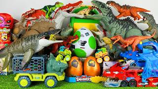 Unboxing Review ASMR Jurassic World Toys Colorful Dinosaur T-rex Spinosaurus Mosa Giga Dragon Trucks