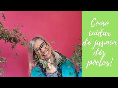 Vídeo: Cuidando do jasmim de inverno - Informações sobre jasmim de inverno e dicas de cultivo