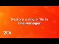 20i: Restore a single file in File Manager