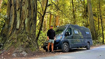 We Saw the Tallest Trees on Earth | Van Life in California Redwoods