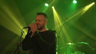 Batna - Czarny kwiat